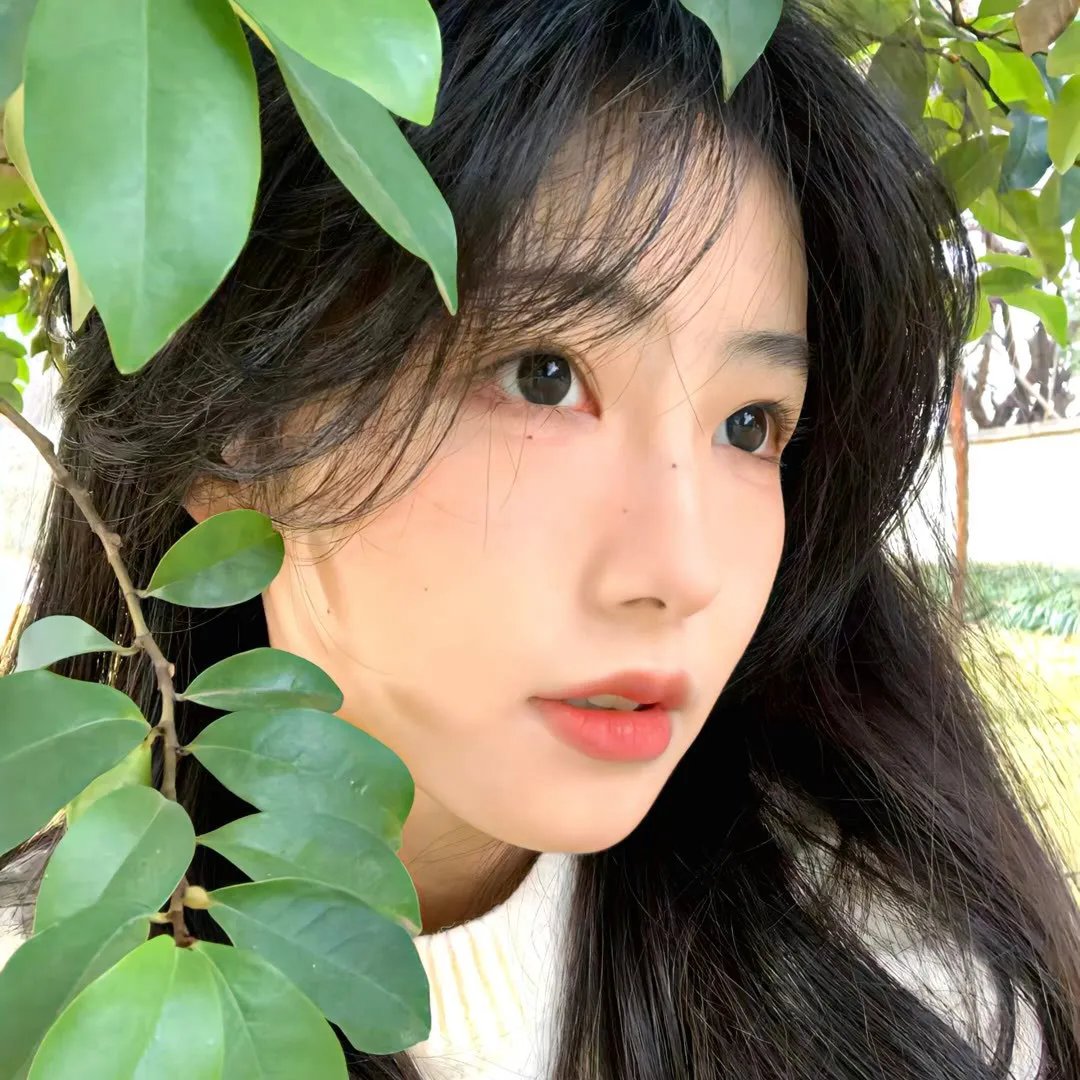 挪威的森林